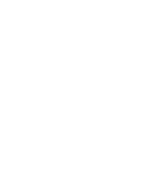 MIL ASADOS